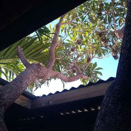 Villa Yapaplupres سان لوي المظهر الخارجي الصورة