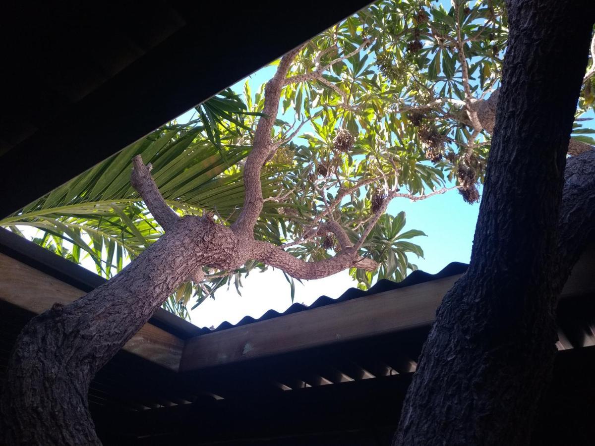 Villa Yapaplupres سان لوي المظهر الخارجي الصورة